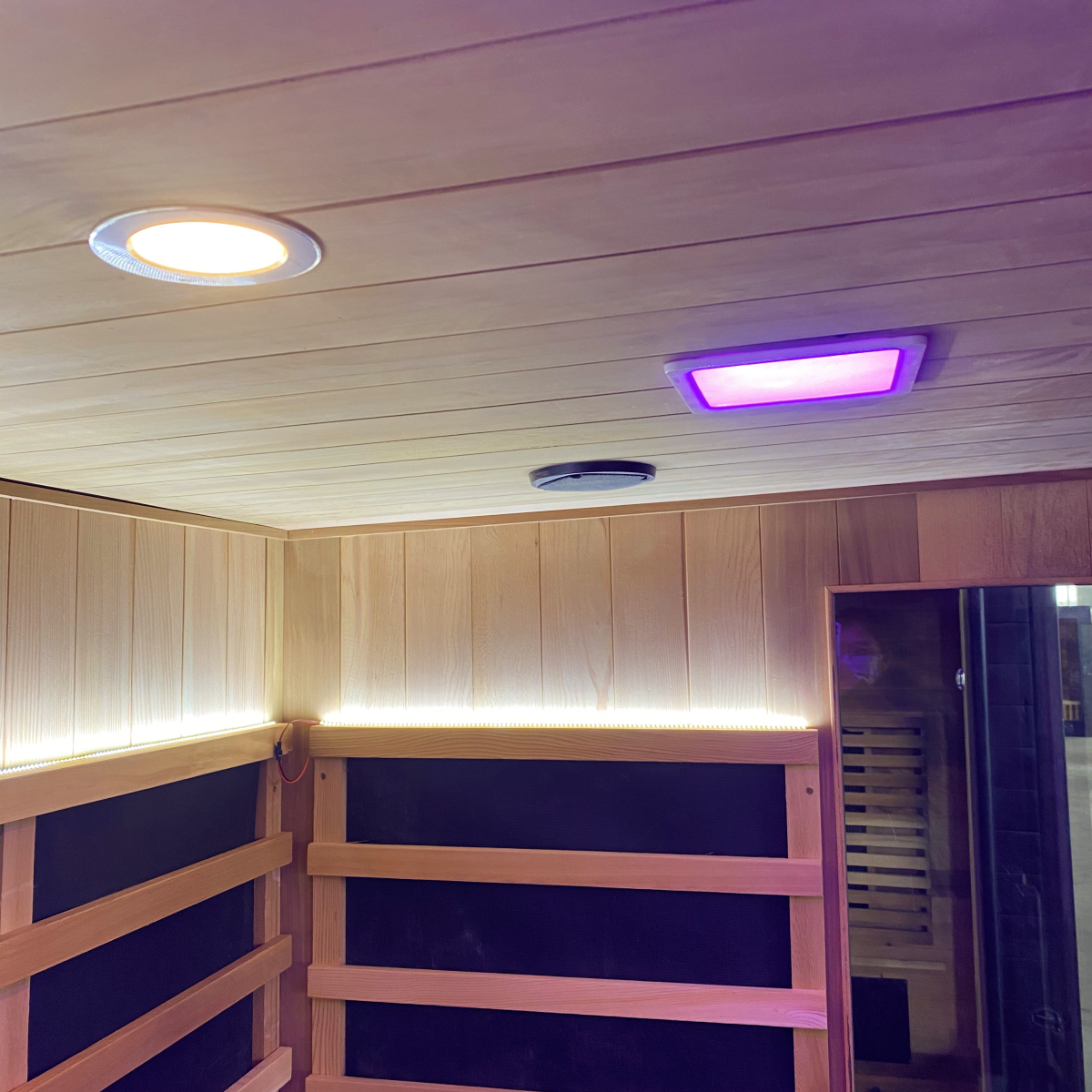 OasisLux Outdoor 5 person full spectrum sauna