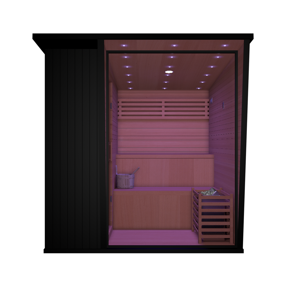 OasisLux Contemporary Studio Outdoor Sauna With Pent Roof